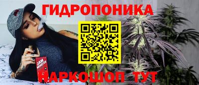 сатива Заводоуковск