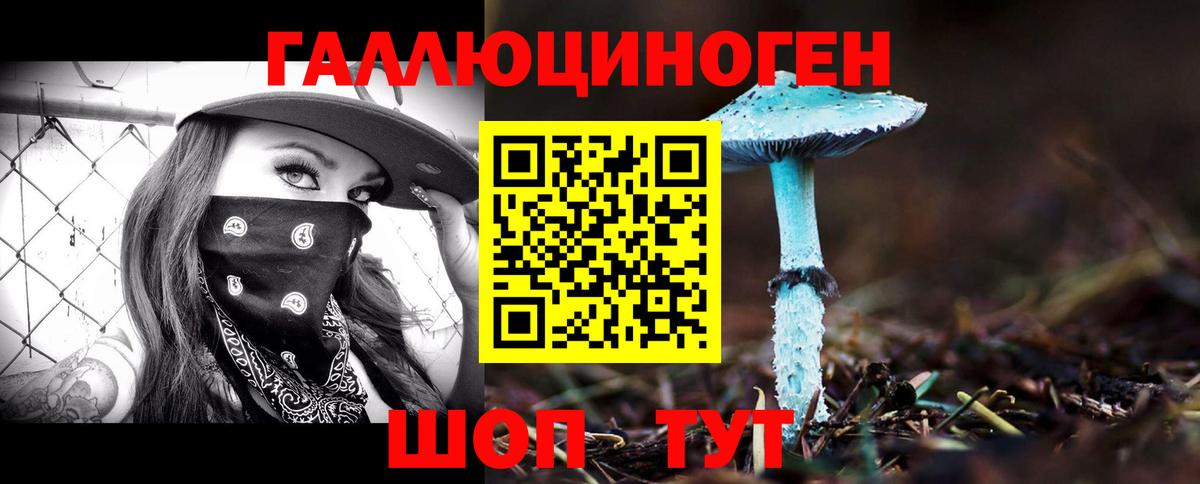 Мурманск  Псилоцибиновые грибы мухоморы  Псилоцибиновые грибы мицелий  Вход с VPN 